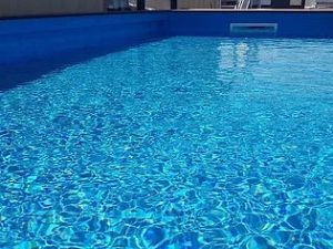 IMG 6904 540x dd288e7a 7a0d 4d9a.jpg
